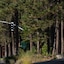Heavenly Valley Lodge