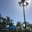 Lani's Holiday Island - Caravan Park