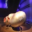 Science Museum