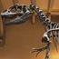 Natural History Museum