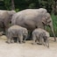 Zurcher Zoo